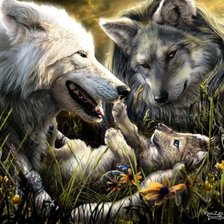 Семейство волков