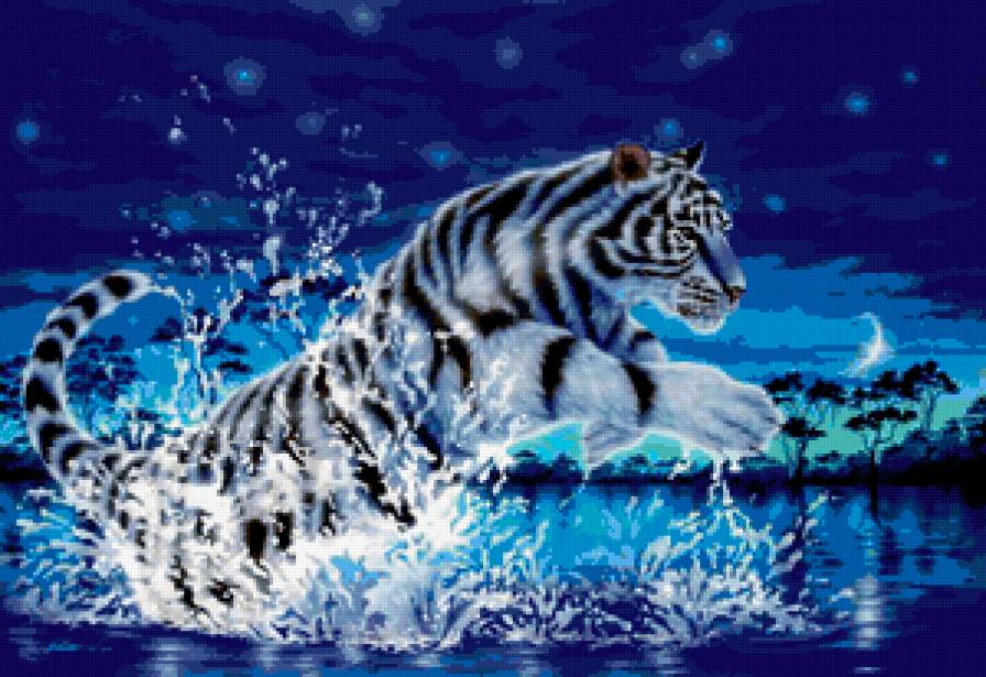 Пейзаж, ночь, тигр - тигр, пейзаж, ночь - предпросмотр