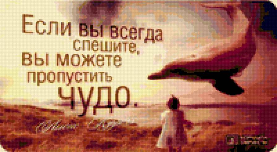 №277339 - предпросмотр