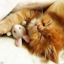 Схема вышивки «сладких снов»