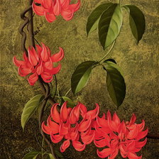 Схема вышивки «№277514»