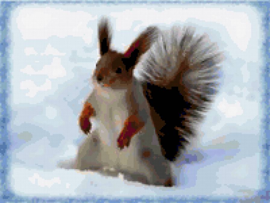 белка - белка, животные - предпросмотр