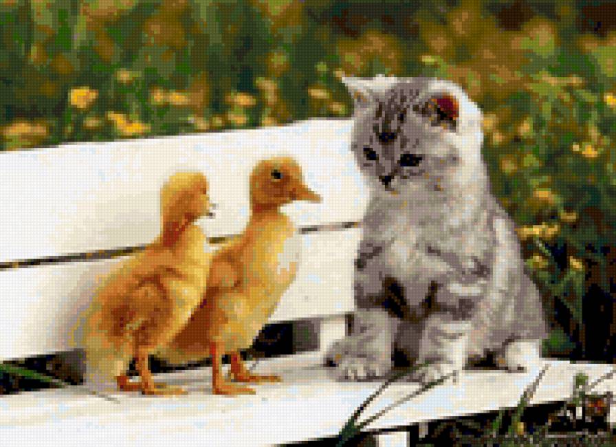 А вы кто? - утята, котята, животные - предпросмотр