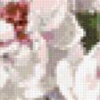 Предпросмотр схемы вышивки «букет» (№277570)