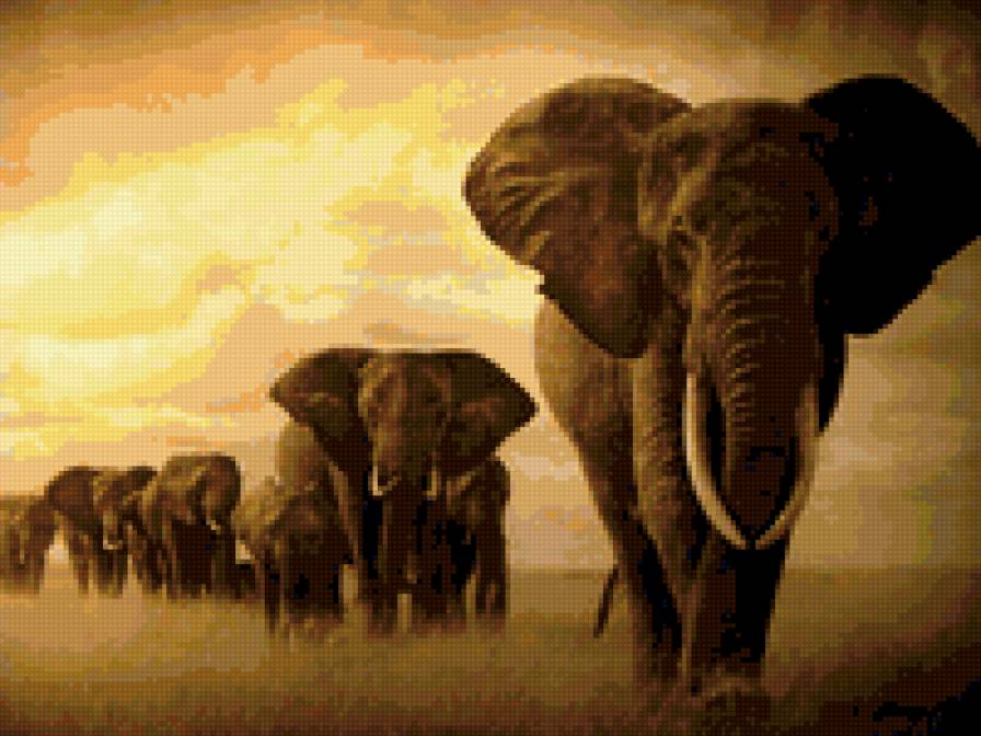 СЛОНЫ - животные - предпросмотр