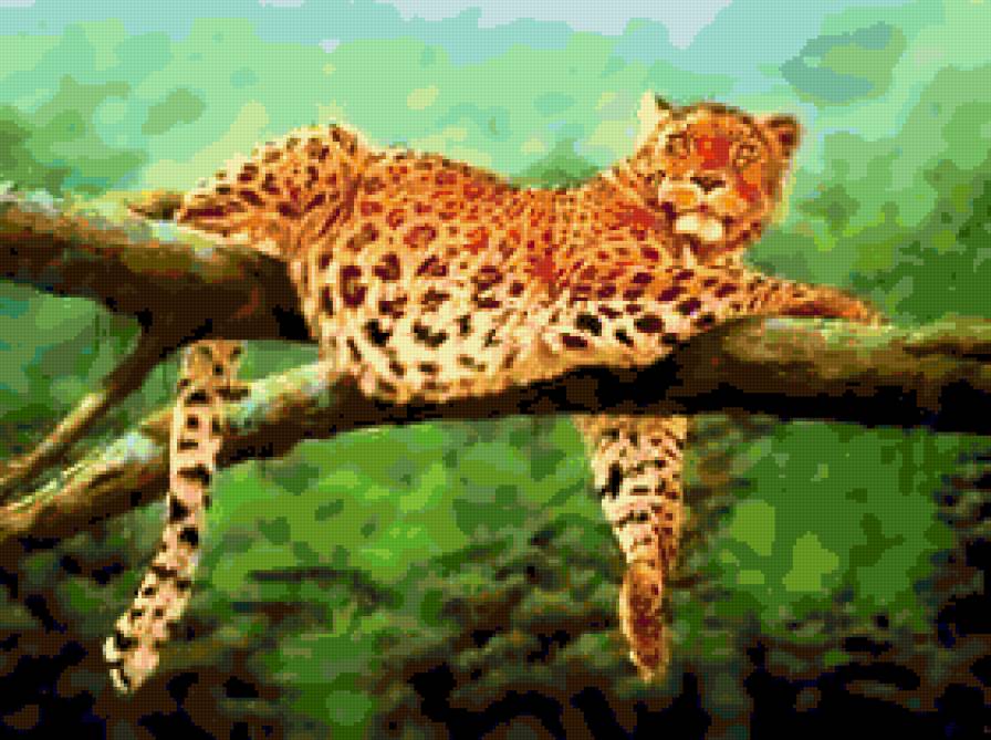 Леопард - леопард, животные, кошки - предпросмотр