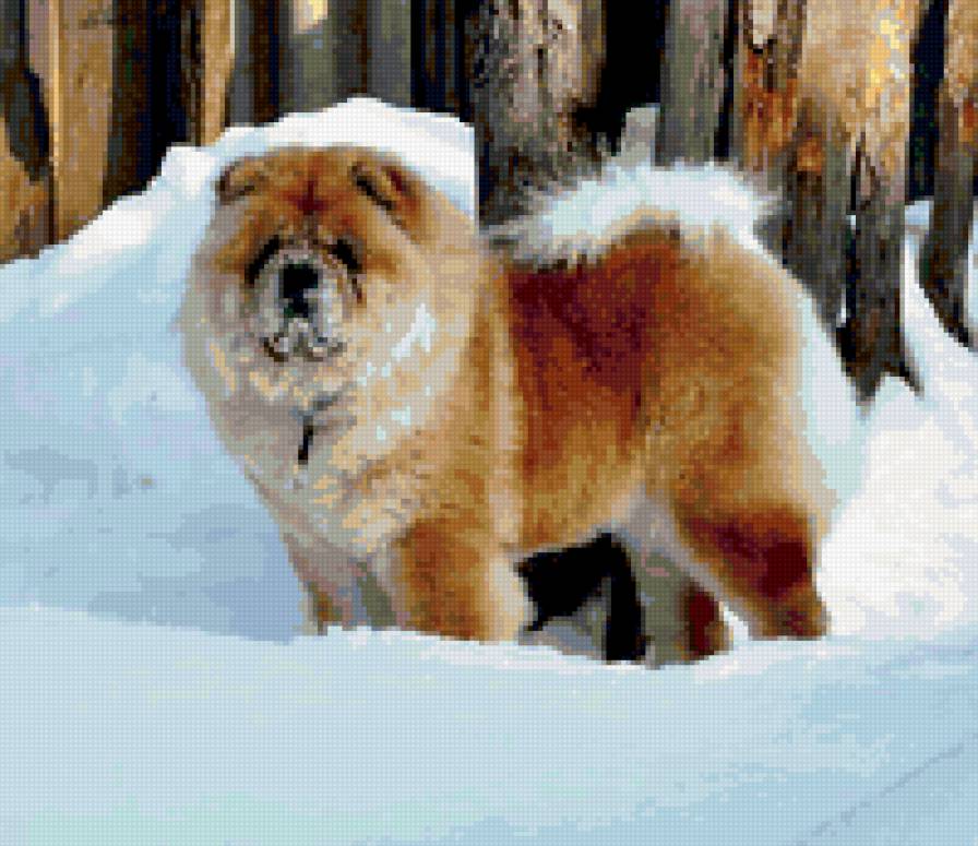 Маня на снегу - предпросмотр