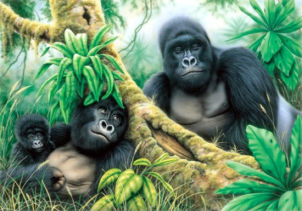 Семейство Горилл - листья, деревя, пейзаж, природа, пальмы, обезьяны - оригинал