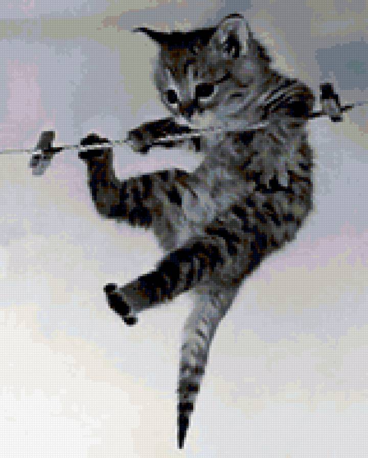 котенок на веревке - предпросмотр