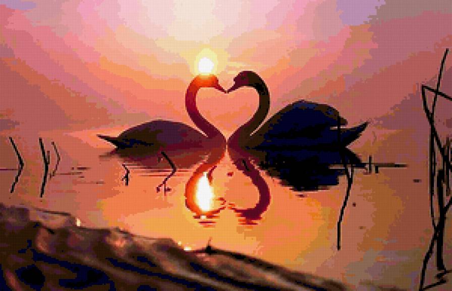 лебеди на озере - предпросмотр