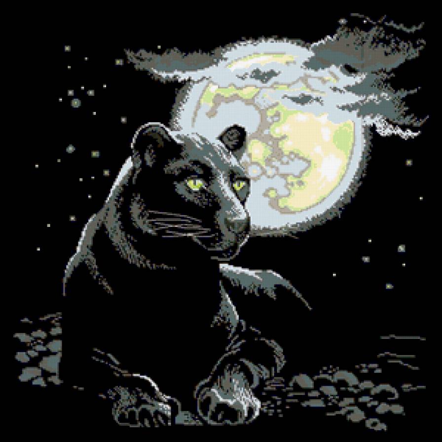 Ночная Пума - ночь, пейзаж, зверь, животное, пума, тигр, лева, тучи, хищник, кошка, небо - предпросмотр
