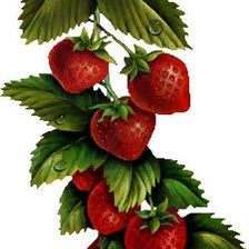 Схема вышивки «№278003»