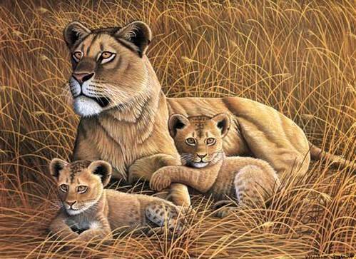 Семейство Львов - дикая кошка, трава, малыши, лев, тигр, хищник, поле, зверь, семейство - оригинал