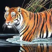 Схема вышивки «Тигр у Водоёма»