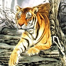 Схема вышивки «Сибирский Тигр»