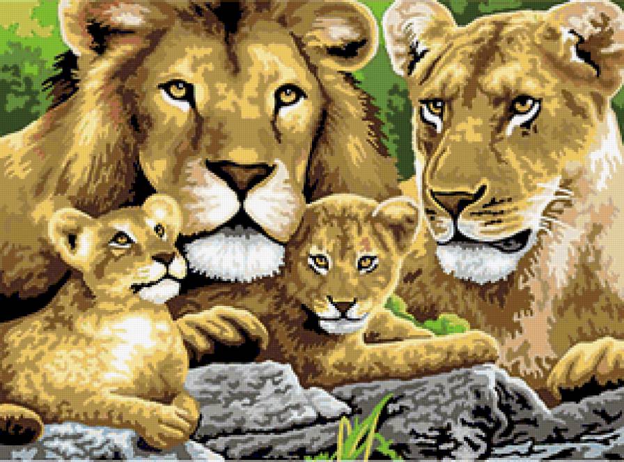 Львиная Семейка - кошка, красавцы, природа, тигр, семейка, львы, хищник, зверь, картина - предпросмотр