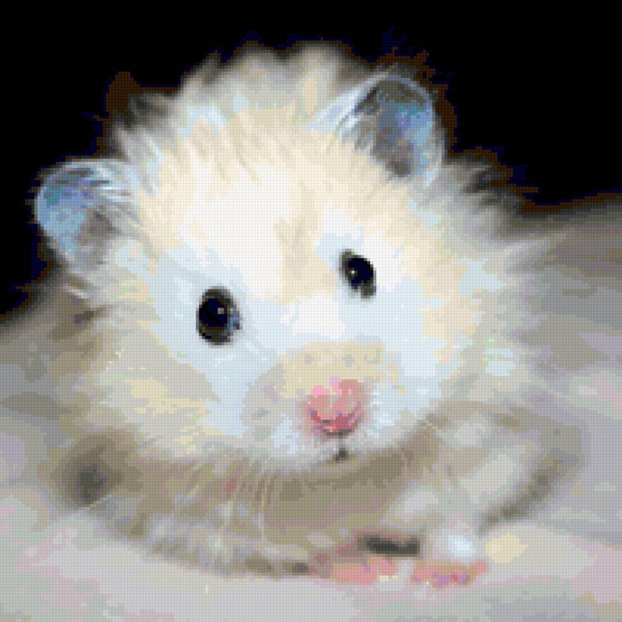 хомячок - животные, хомяк - предпросмотр