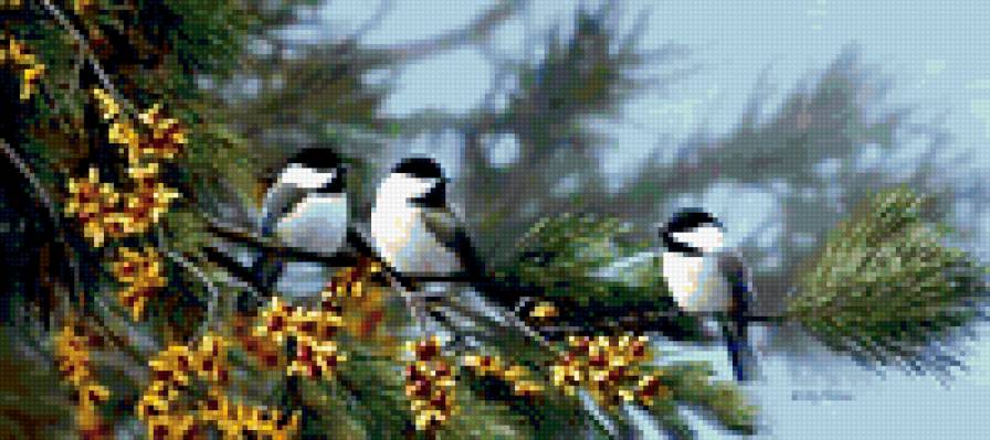 птицы Бредли Джексона - лес, природа, шишка, птицы - предпросмотр