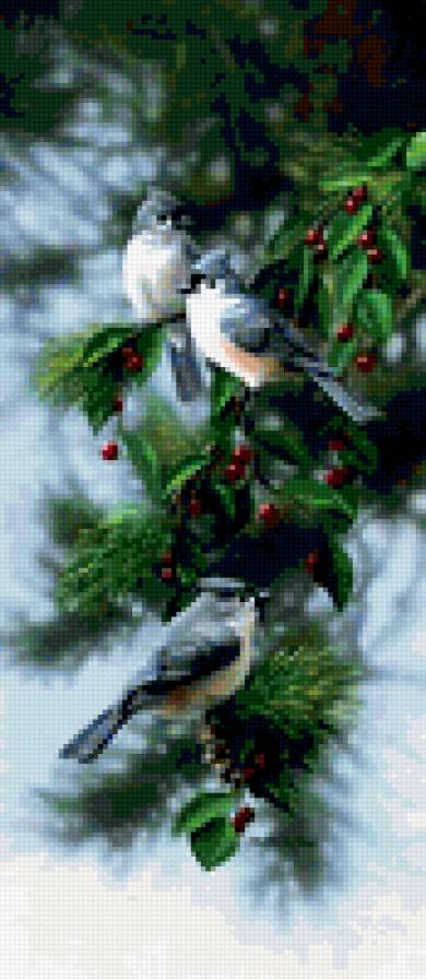 птицы Бредли Джексона - лес, ягоды, природа, птицы - предпросмотр