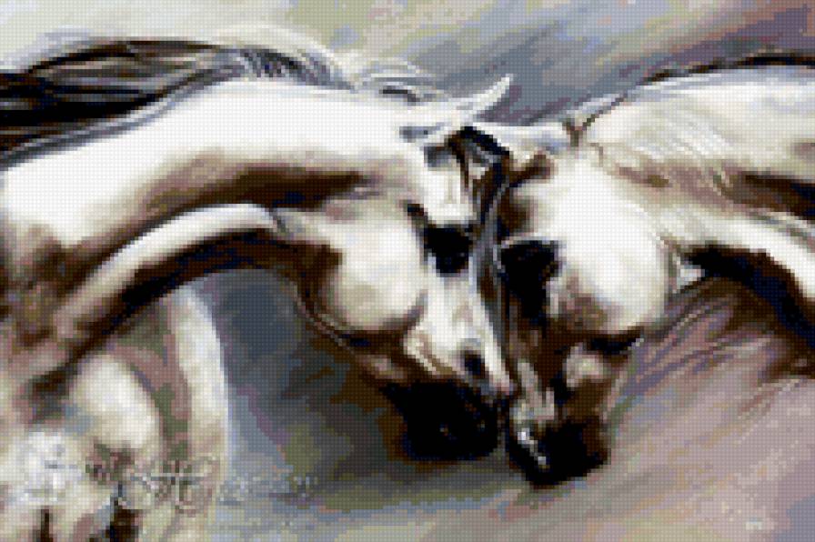 Кони - конь, кони, лошадь, лошади - предпросмотр