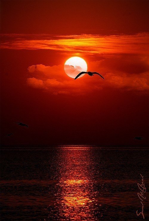 закат - закат, море - оригинал