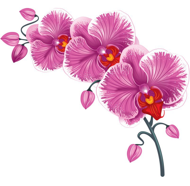 111 - цветы - оригинал