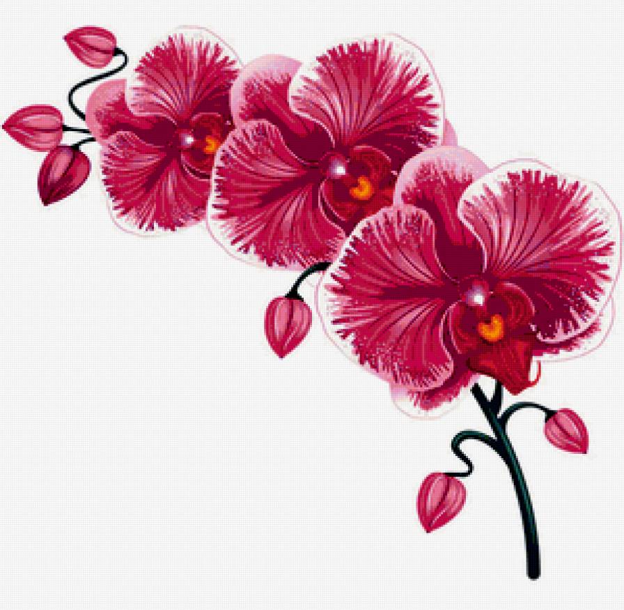 111 - цветы - предпросмотр