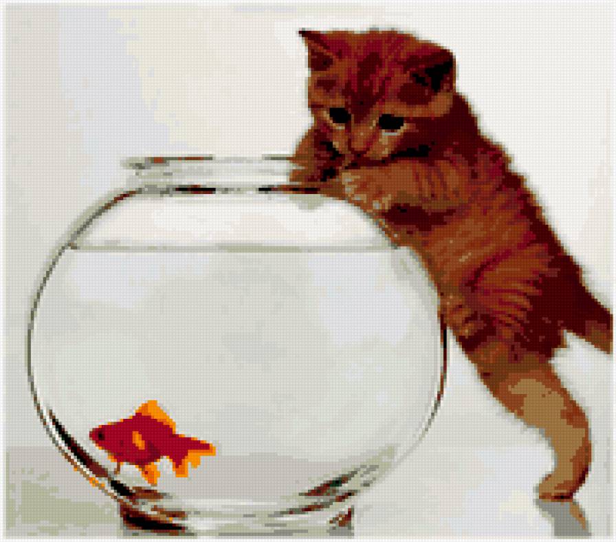 рыжик - предпросмотр