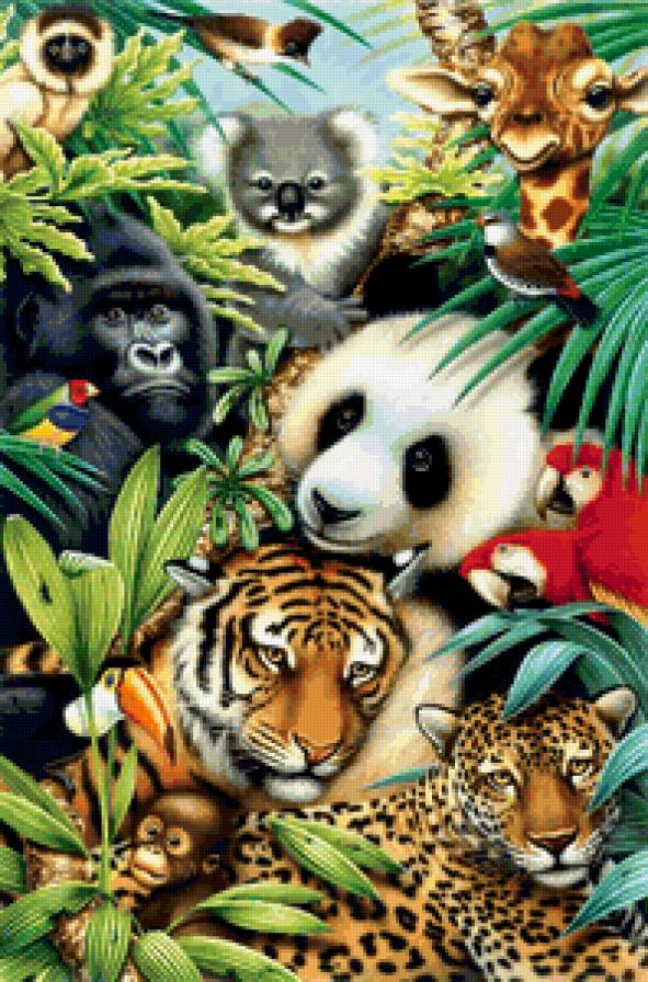Джунгли - животные - предпросмотр