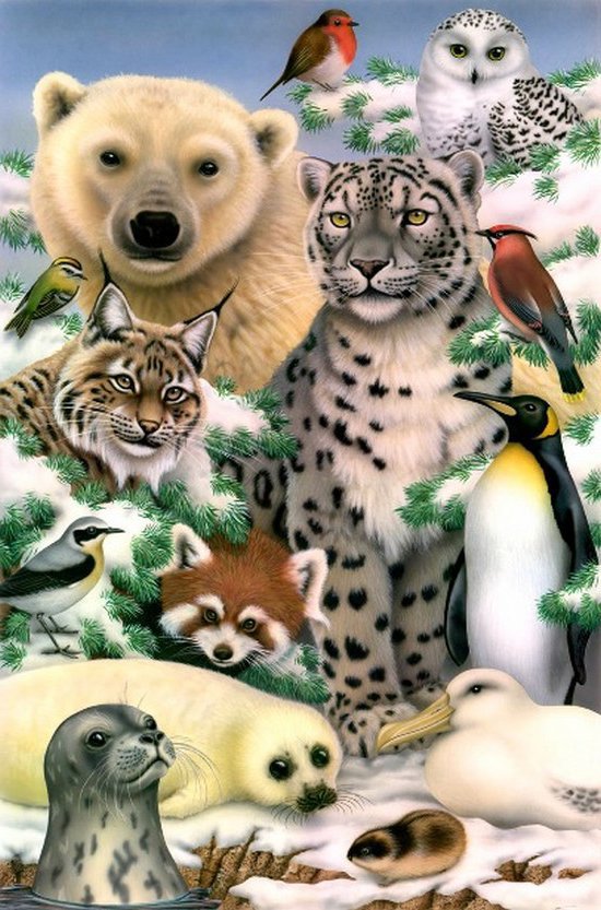 Животный мир 1 - животные - оригинал