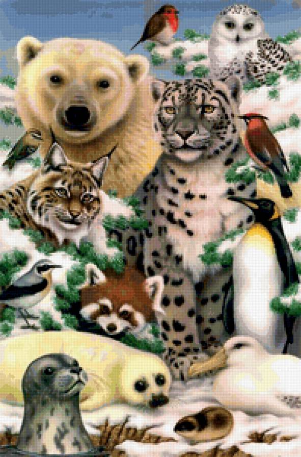 Животный мир 1 - животные - предпросмотр