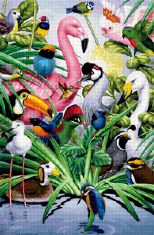 Птичий базар - птицы - предпросмотр