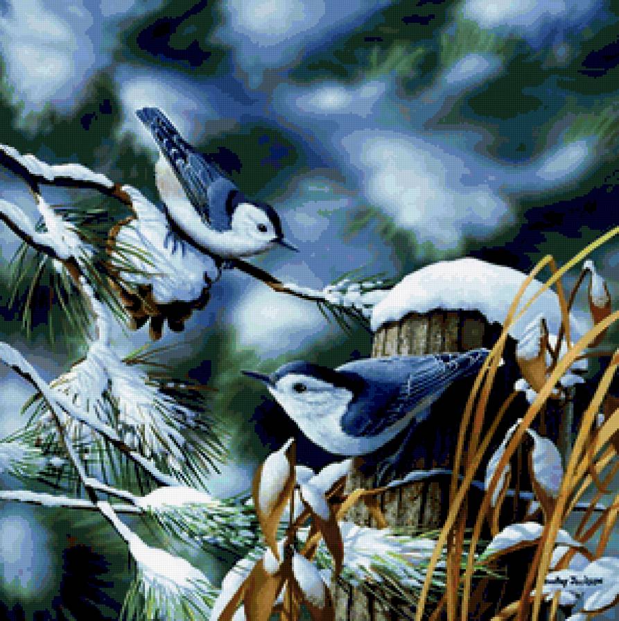 птицы - предпросмотр