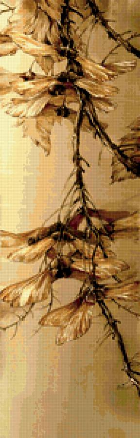 Ветка - растения, природа - предпросмотр