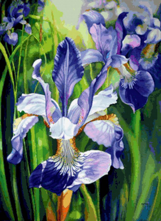 ЦВЕТЫ - букет, природа, цветы, композиция, картина - предпросмотр