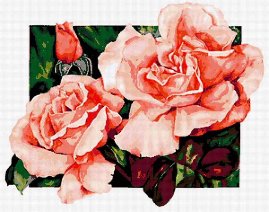 цветы - цветы - предпросмотр