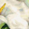 Предпросмотр схемы вышивки «ЦВЕТЫ» (№278811)