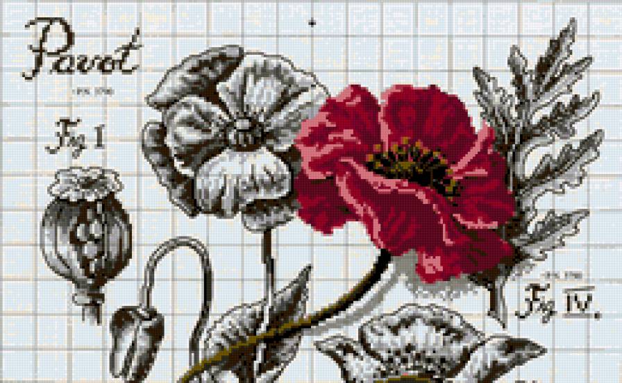 1 - квіти - предпросмотр