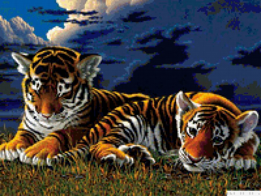 тегрята - тигры - предпросмотр