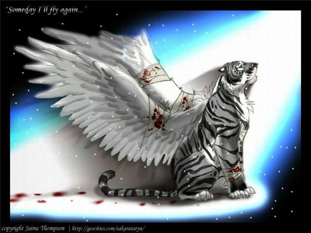 ангел тигрица - тигры - оригинал
