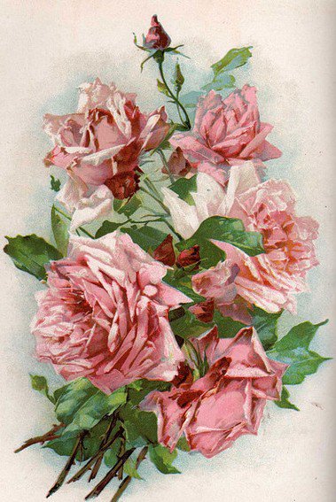 букет роз - оригинал