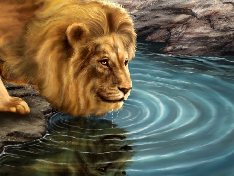 №279139 - львы - оригинал