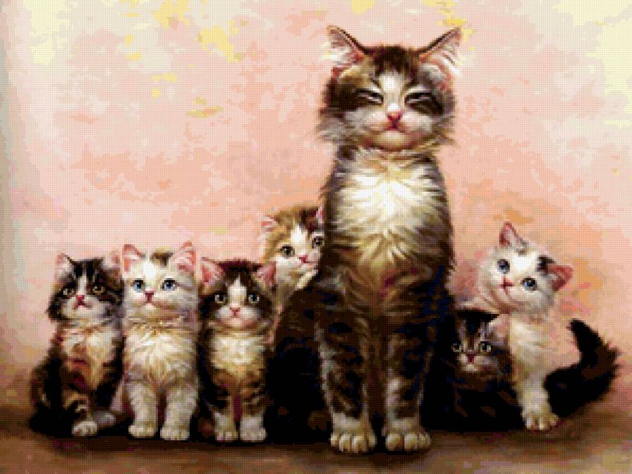 Мурзики - кошки, животные, котята - предпросмотр