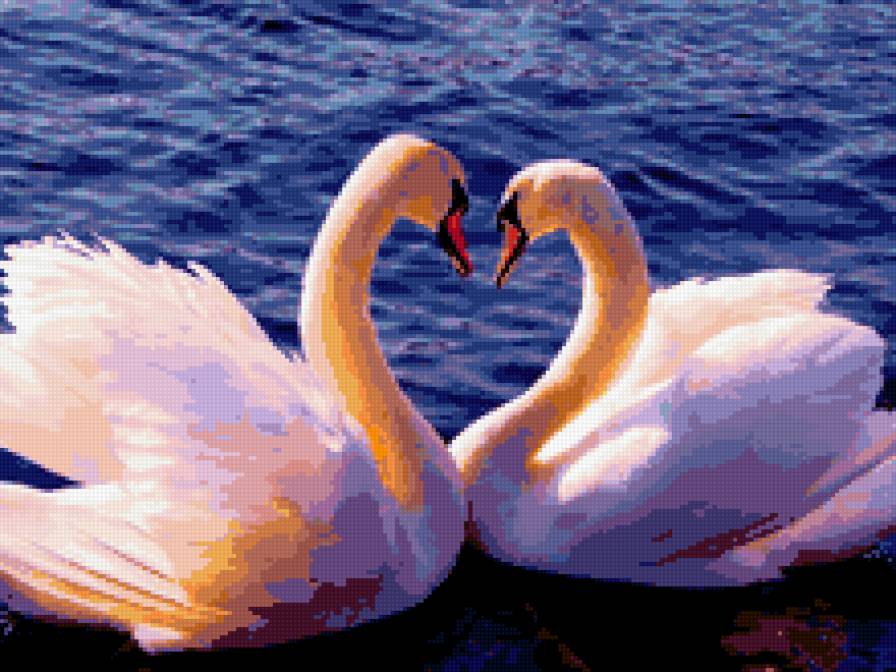 лебеди - предпросмотр