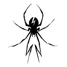 Схема вышивки «Danger Days, spider»