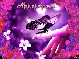 бабочка - оригинал