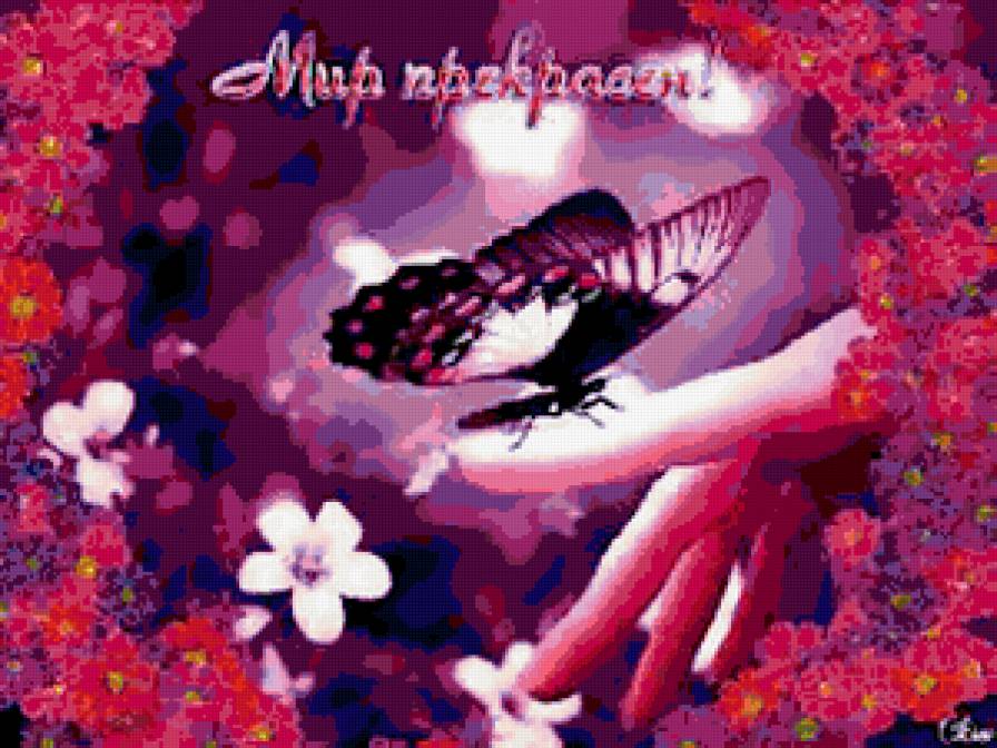 бабочка - предпросмотр