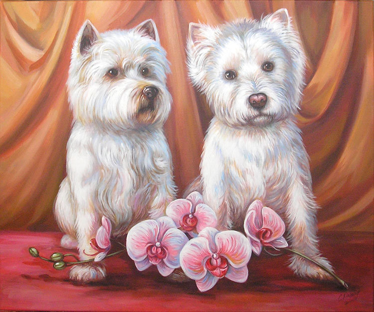 Милашки - друг, друзья, пара, орхидея, цветы, домашние животные, собака - оригинал