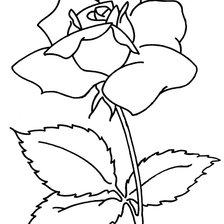 Оригинал схемы вышивки «роза» (№279678)