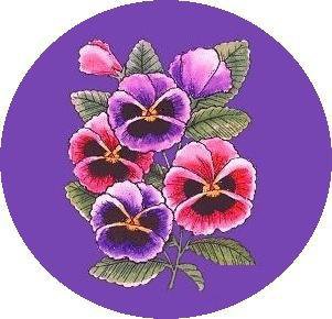 анютины глазки - оригинал